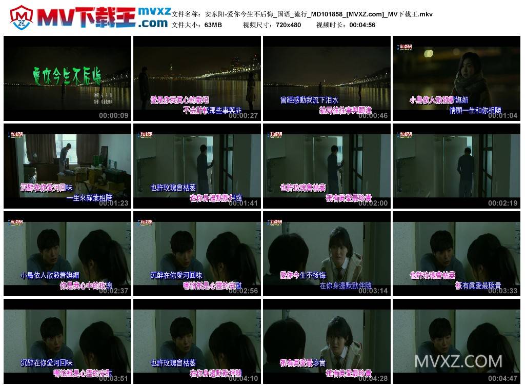 安东阳-爱你今生不后悔_国语_流行_MD101858